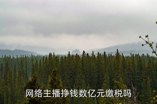網(wǎng)絡(luò)主播掙錢(qián)數(shù)億元繳稅嗎
