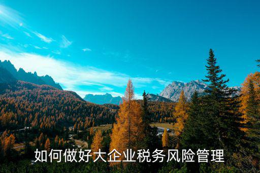 如何加強(qiáng)對(duì)重點(diǎn)企業(yè)的稅務(wù)管理，加強(qiáng)大企業(yè)的稅收管理有何良策