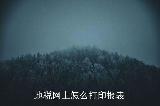 地稅網(wǎng)上怎么打印報(bào)表