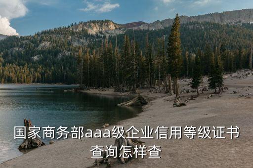 國家商務部aaa級企業(yè)信用等級證書查詢怎樣查