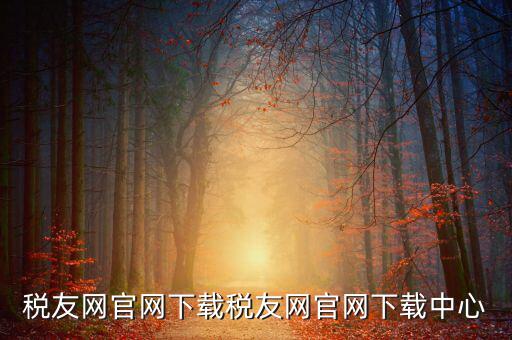 稅友如何下載，個稅在稅友網(wǎng)上下載下來了然后怎么安裝