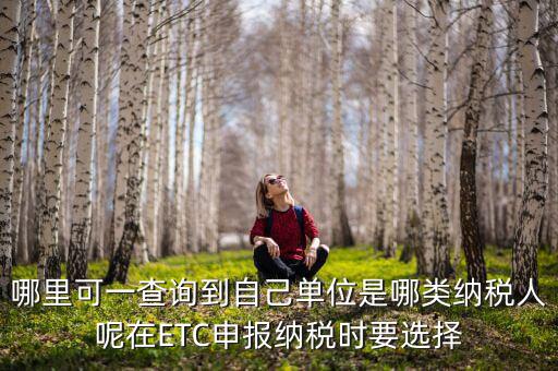 哪里可一查詢到自己?jiǎn)挝皇悄念惣{稅人呢在ETC申報(bào)納稅時(shí)要選擇