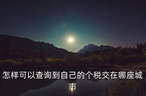 如何查詢個人所得稅所交地點，怎樣可以查詢到自己的個稅交在哪座城市