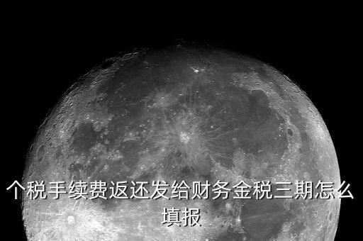 個稅手續(xù)費返還發(fā)給財務(wù)金稅三期怎么填報