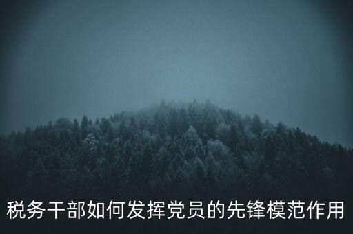 稅收征管改革黨員如何發(fā)揮作用，稅務(wù)干部如何發(fā)揮黨員的先鋒模范作用