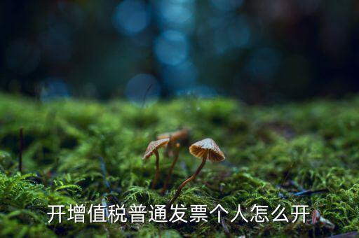 普票如何開給個人，增值稅普通發(fā)票開個人需要什么資料