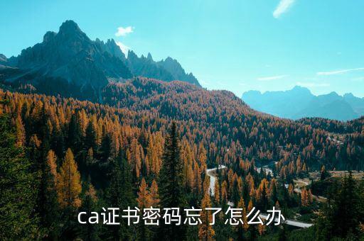 ca證書(shū)密碼忘了怎么辦