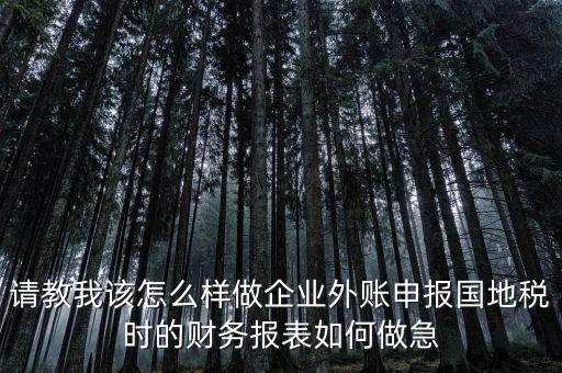 請教我該怎么樣做企業(yè)外賬申報國地稅時的財務報表如何做急