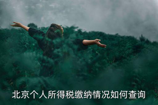 北京地稅個人如何查詢，如何查詢個人所得稅繳稅記錄