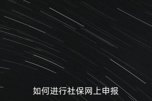 如何進(jìn)行社保網(wǎng)上申報