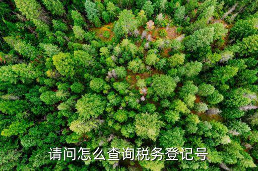 如何查地稅登記號，怎樣在網(wǎng)上查詢國稅和地稅登記號