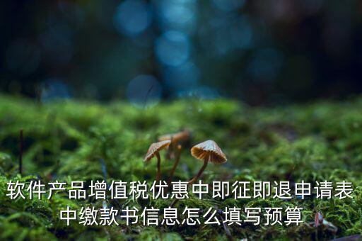 即征即退的退稅申請(qǐng)表如何填寫，軟件產(chǎn)品增值稅優(yōu)惠中即征即退申請(qǐng)表中繳款書信息怎么填寫預(yù)算