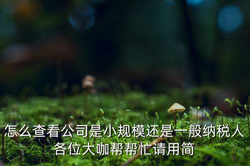 怎么查看公司是小規(guī)模還是一般納稅人各位大咖幫幫忙請(qǐng)用簡(jiǎn)