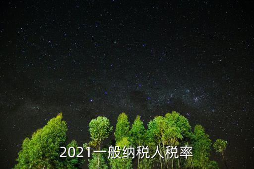 2021一般納稅人稅率