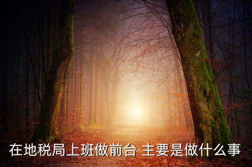 在地稅局上班做前臺(tái) 主要是做什么事