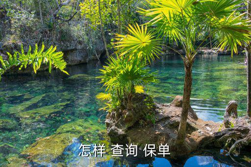 怎樣 查詢 保單