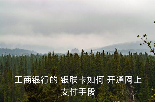 工商銀行怎么開通銀聯(lián)在線支付,怎么開通中國銀聯(lián)快速通?