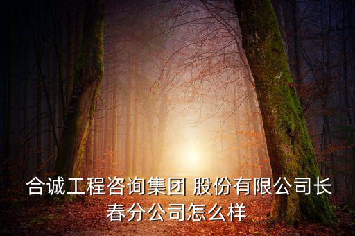 合誠股份怎么樣,廣州合誠化工有限公司債務(wù)由合誠工程咨詢承擔(dān)