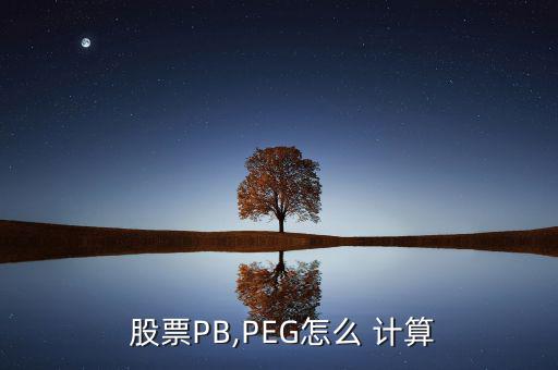 股票peg怎么計(jì)算,a股票當(dāng)前市盈率為20倍