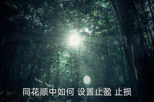 怎么設(shè)置止贏止損,同花順如何止盈?