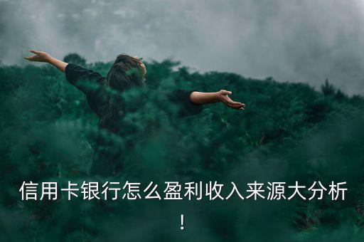 正規(guī)信用卡代辦公司是怎么賺錢的,發(fā)行信用卡賺錢秘訣