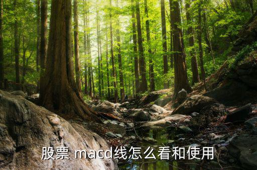 怎么調(diào)看macd,堅毅向前預測