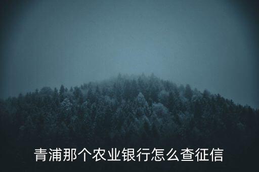 青浦那個(gè)農(nóng)業(yè)銀行怎么查征信