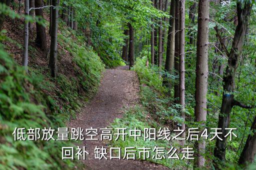 低部放量跳空高開中陽(yáng)線之后4天不 回補(bǔ) 缺口后市怎么走