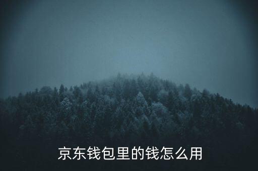 京東怎么使用網(wǎng)銀錢(qián)包,中國(guó)新增11起病例全由境外輸入