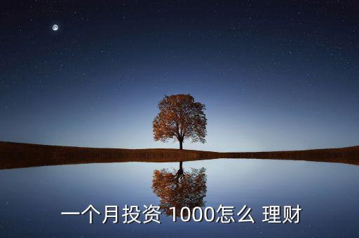  一個(gè)月投資 1000怎么 理財(cái)