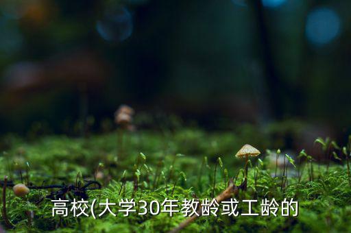 高校(大學30年教齡或工齡的