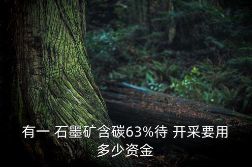 有一 石墨礦含碳63%待 開采要用多少資金