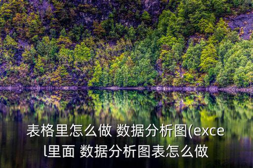 表格里怎么做 數(shù)據(jù)分析圖(excel里面 數(shù)據(jù)分析圖表怎么做