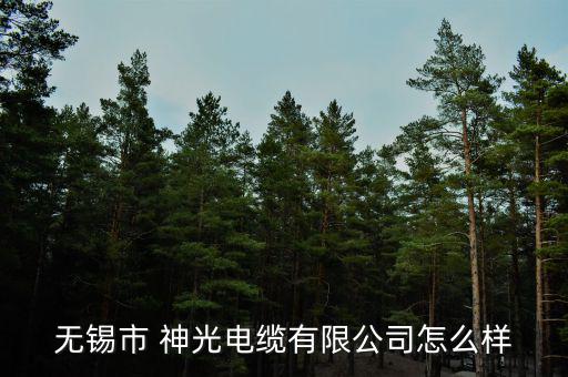 神光投資怎么樣,寧夏神光煤炭工業(yè)股份有限公司處于開(kāi)業(yè)狀態(tài)