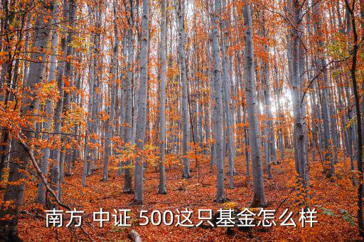 華夏中證500怎么樣,中證-1/lof成立時間最長規(guī)模最大