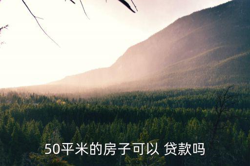 不滿50平怎么貸款,首付30%或30%剩余部分可選擇貸款