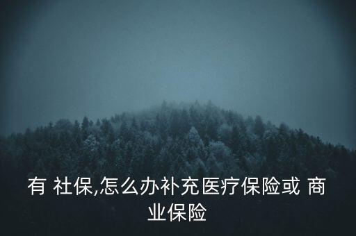 有 社保,怎么辦補充醫(yī)療保險或 商業(yè)保險