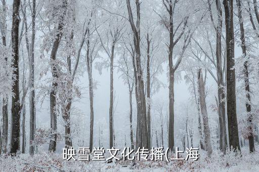  映雪堂文化傳播(上海