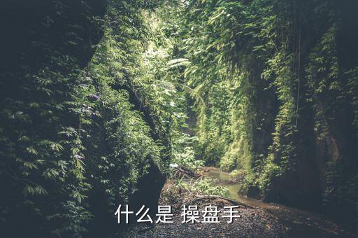 股票操盤(pán)手怎么,如何成為一個(gè)專(zhuān)業(yè)的股票操盤(pán)手?