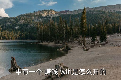 中有一個(gè) 賺錢 wifi是怎么開的