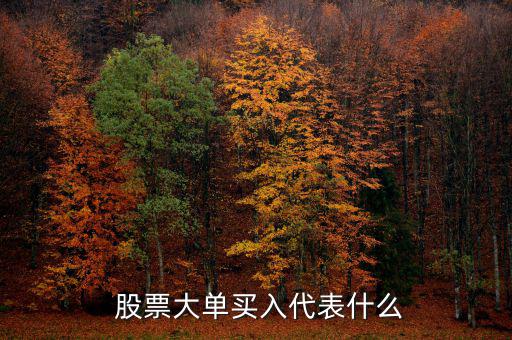  股票大單買(mǎi)入代表什么