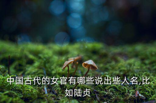 尚乘中國怎么樣,開復(fù)電視臺新增三個(gè)職能部門包括四司三公