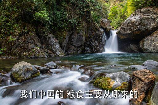 我們中國的 糧食主要從哪來的