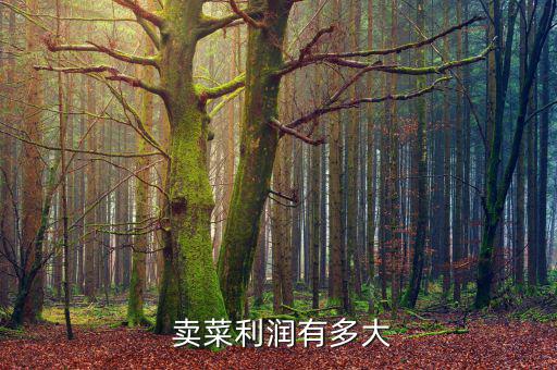  賣(mài)菜利潤(rùn)有多大