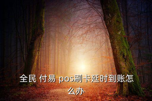 全民付易pos怎么使用,信用卡交易是否成功?