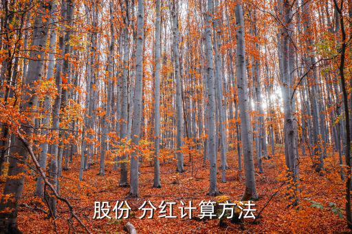 股份 分紅計(jì)算方法