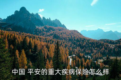中國(guó) 平安的重大疾病保險(xiǎn)怎么樣