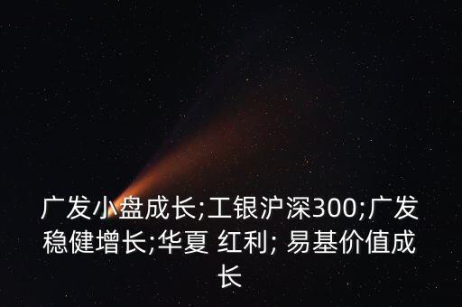 廣發(fā)小盤成長(zhǎng);工銀滬深300;廣發(fā)穩(wěn)健增長(zhǎng);華夏 紅利; 易基價(jià)值成長(zhǎng)