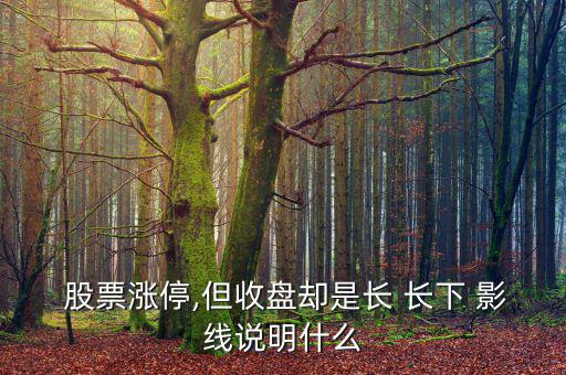  股票漲停,但收盤卻是長(zhǎng) 長(zhǎng)下 影線說(shuō)明什么