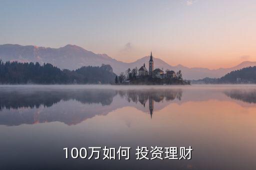 你有100萬你會(huì)怎么投資,投資100萬賺錢很可觀